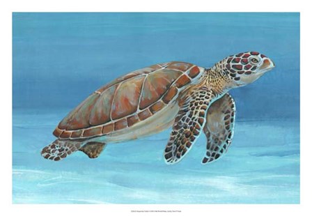 Ocean Sea Turtle I by Timothy O&#39;Toole art print