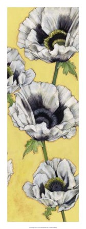 Poppy Vine II by Jennifer Goldberger art print