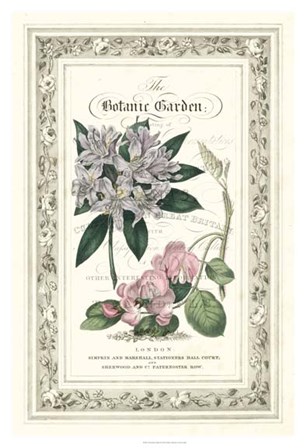The Botanic Garden II by Vision Studio art print