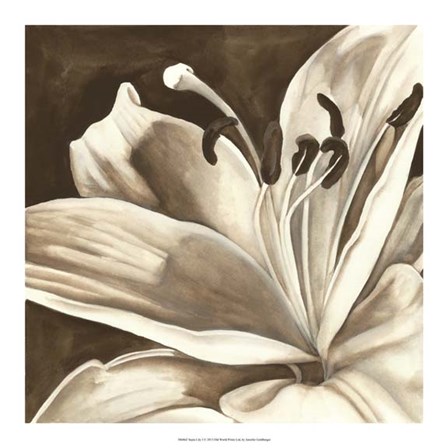 Sepia Lily I by Jennifer Goldberger art print