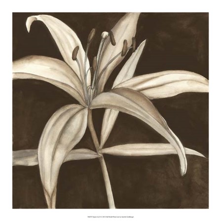 Sepia Lily II by Jennifer Goldberger art print