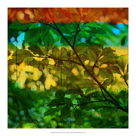 Abstract Leaf Study I by Sisa Jasper art print