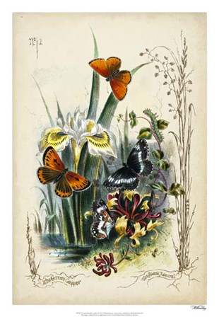 Victorian Butterfly Garden II by Vision Studio art print