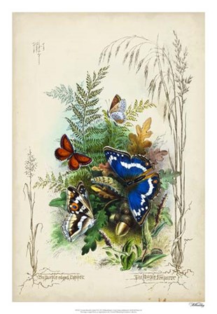 Victorian Butterfly Garden III by Vision Studio art print