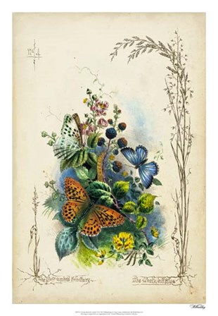 Victorian Butterfly Garden VII by Vision Studio art print