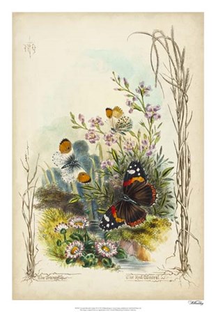 Victorian Butterfly Garden IX by Vision Studio art print