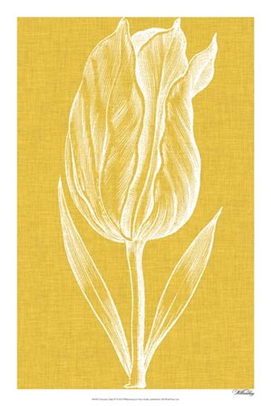 Chromatic Tulips IV by Vision Studio art print