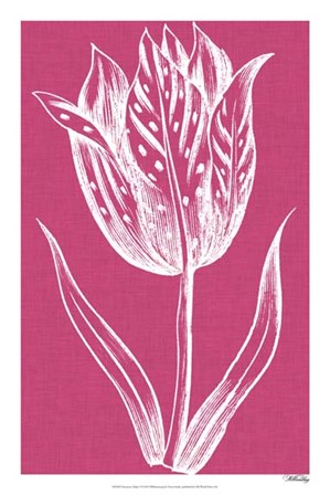 Chromatic Tulips V by Vision Studio art print