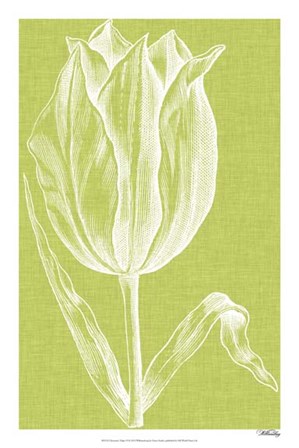 Chromatic Tulips VI by Vision Studio art print