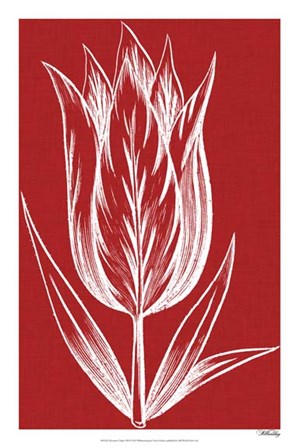 Chromatic Tulips VIII by Vision Studio art print