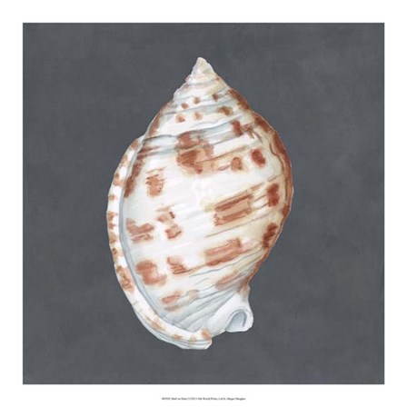 Shell on Slate I by Megan Meagher art print