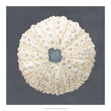 Shell on Slate VII by Megan Meagher art print