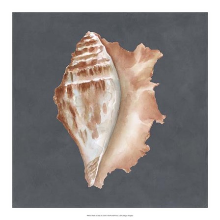 Shell on Slate IX by Megan Meagher art print
