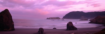 Myers Creek Beach, Oregon by Panoramic Images art print