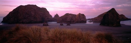 Rock formations on Myers Creek Beach, Oregon by Panoramic Images art print