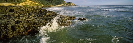 Waves splashing on rocks, Oregon Coast, Oregon, USA by Panoramic Images art print