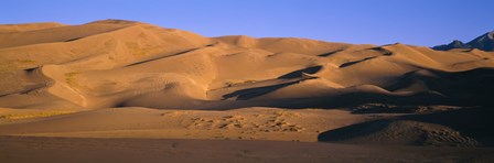 Sand dunes in a desert, Great Sand Dunes National Monument, Alamosa County, Saguache County, Colorado, USA by Panoramic Images art print