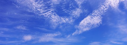 Low angle view of cirrocumulus clouds in the sky by Panoramic Images art print