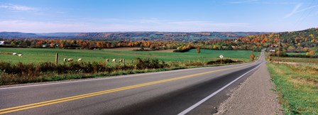 Road passing through a field, Finger Lakes, New York State, USA by Panoramic Images art print