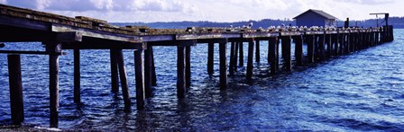 Seagulls on a pier, Whidbey Island, Island County, Washington State, USA by Panoramic Images art print
