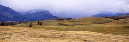 Rolling landscape with mountains in the background, East Glacier Park, Glacier County, Montana, USA by Panoramic Images art print
