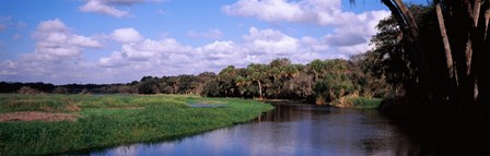 Reflection of clouds in a river, Myakka River, Myakka River State Park, Sarasota County, Florida, USA by Panoramic Images art print