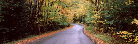 Road passing through a forest, Green Bridge Road, Adirondack Mountains, Thendara, Herkimer County, New York State, USA by Panoramic Images art print