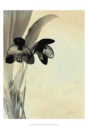 Orchid Blush Panels I by James Burghardt art print