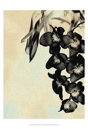 Orchid Blush Panels II by James Burghardt art print