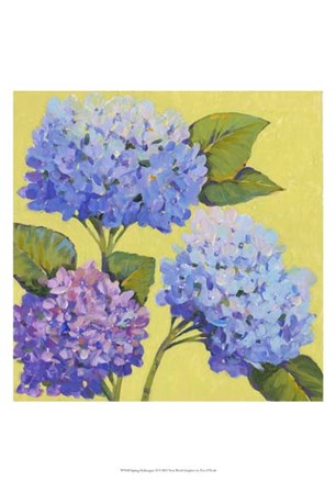 Spring Hydrangeas II by Timothy O&#39;Toole art print