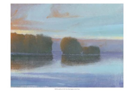 Crystal River II by Timothy O&#39;Toole art print