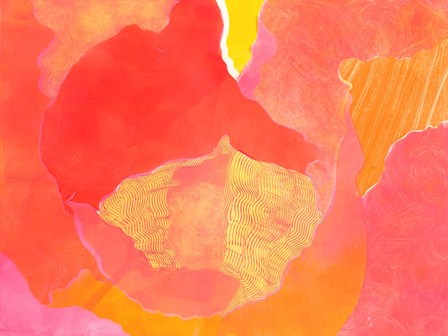 Cabbage Rose II by Carolyn Roth art print