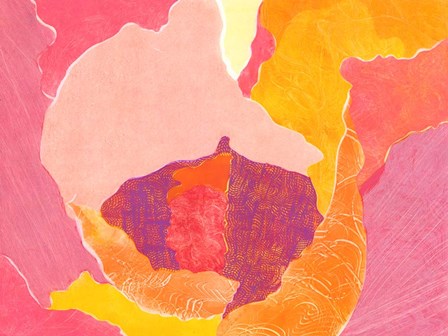 Cabbage Rose VI by Carolyn Roth art print