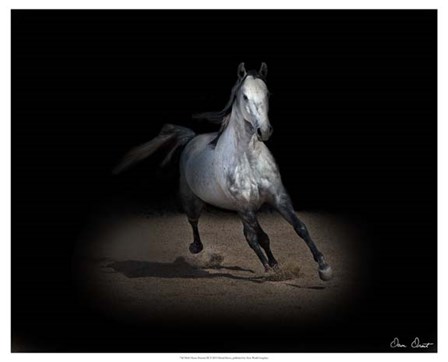 Horse Portrait IX by David Drost art print