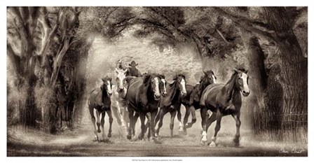 The Chase II by David Drost art print