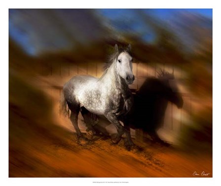 Blazing Horse III by David Drost art print