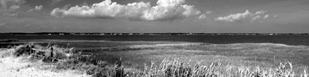 Shore Panorama VII by Jeff Pica art print
