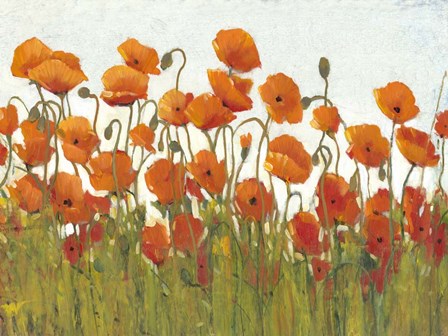 Rows of Poppies II by Timothy O&#39;Toole art print