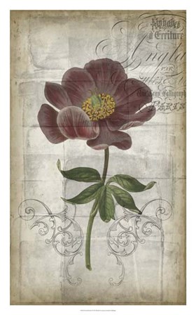 French Floral I by Jennifer Goldberger art print
