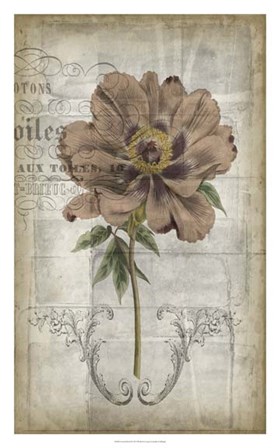 French Floral II by Jennifer Goldberger art print