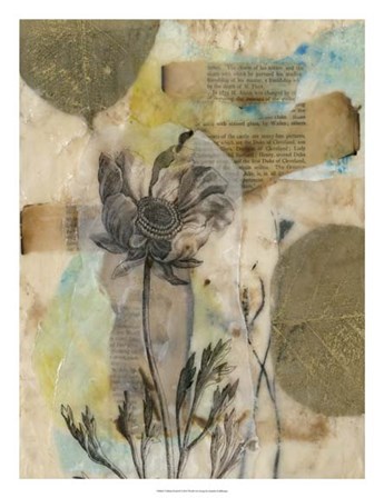 Vellum Floral II by Jennifer Goldberger art print
