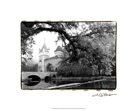 Vajdahunyad Castle, Budapest by Laura Denardo art print