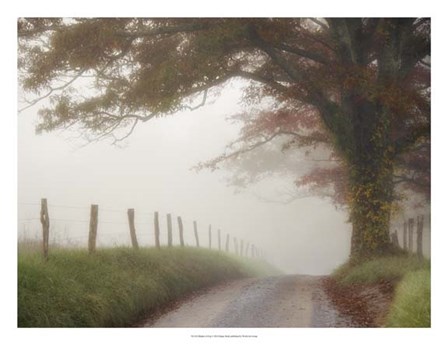 Blanket of Fog by Danny Head art print