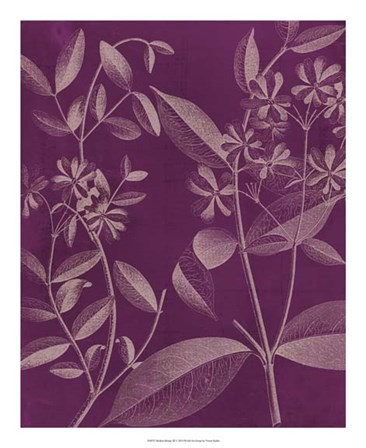 Modern Botany III by Vision Studio art print