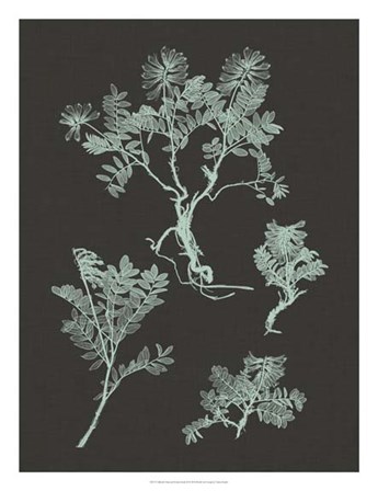 Mint &amp; Charcoal Nature Study II by Vision Studio art print