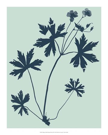 Indigo &amp; Mint Botanical Study III by Vision Studio art print