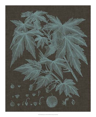 Shimmering Leaves VII by Vision Studio art print