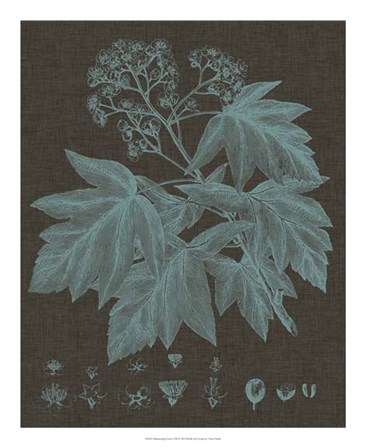 Shimmering Leaves VIII by Vision Studio art print