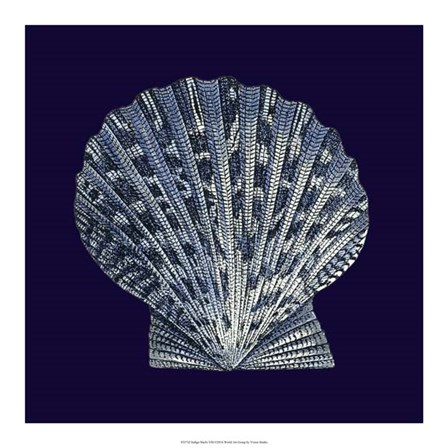 Indigo Shells VIII by Vision Studio art print