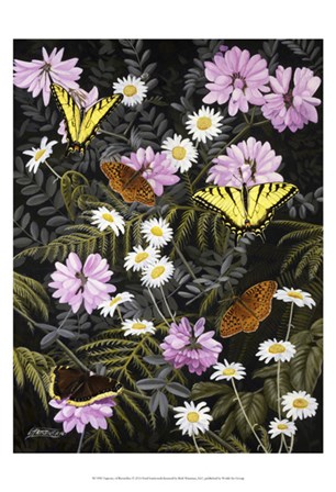 Tapestry of Butterflies by Fred Szatkowski art print